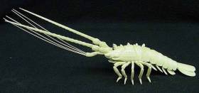 Bone Moveable Lobster