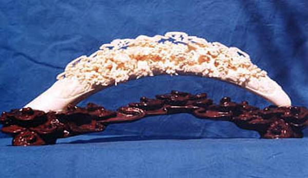 bone carving