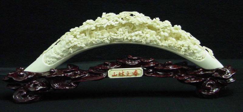 bone carving