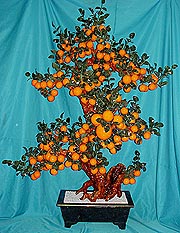 HUGE! JADE ORANGES TREE 6ft x 4 ft. #(201-168D) $1690 + S/H