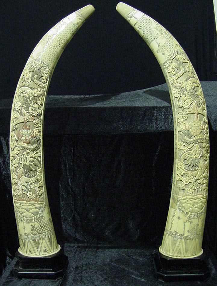 bone carving