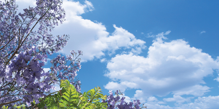 sky cloud ceiling lens diffuser