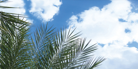 sky cloud ceiling lens diffuser