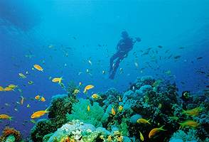 Pulau Tioman