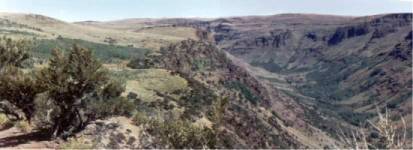 Steens Mountains, Little Blitzen, Oregon