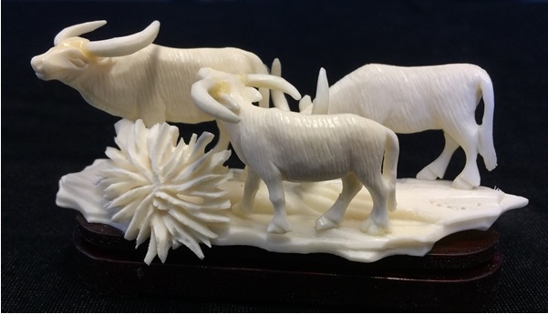 bone art