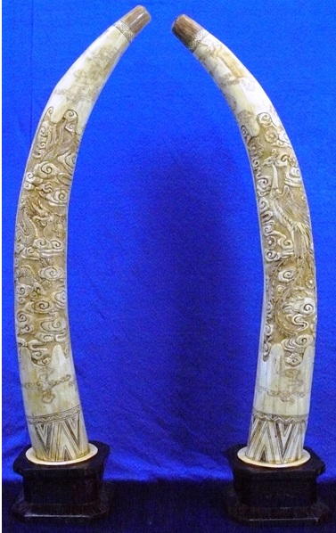 bone carving
