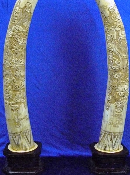 bone carving