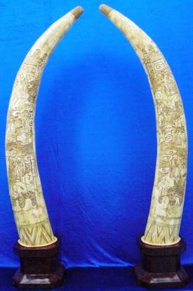 BONE IVORY LIKE TUSKS CARVING 70 IN TALL 
This is a real bone carving. All hand carved with lots of details.  
Size: H:70 in