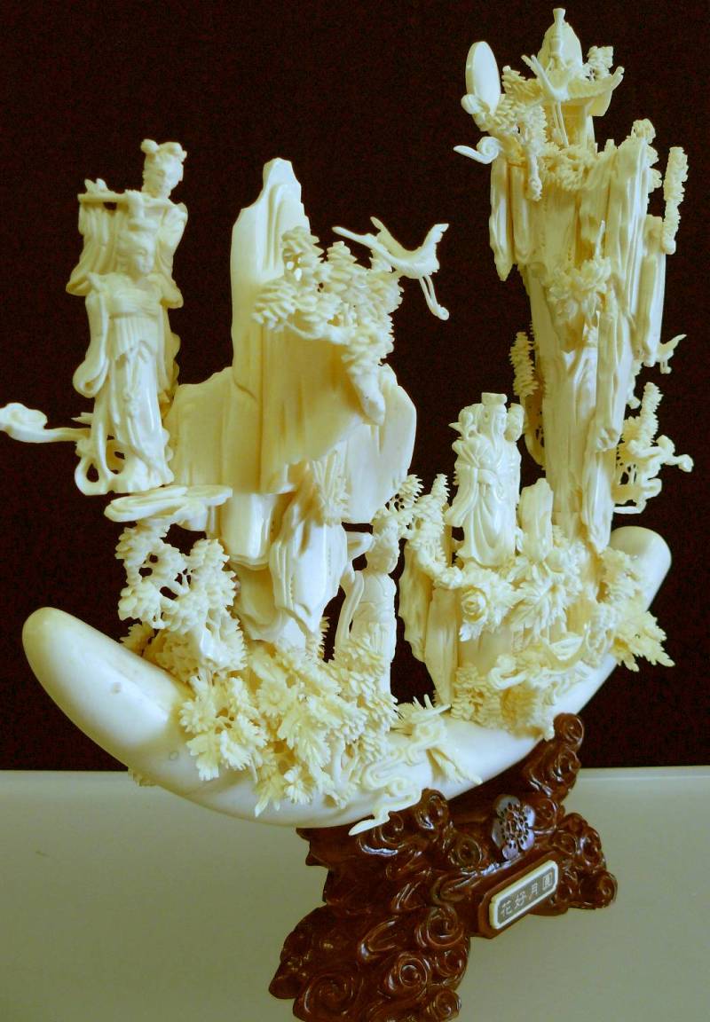bone tusk