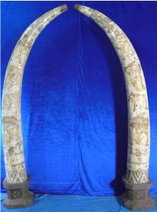 PAIR OF BONE TUSKS F80-1
This is an Buffalo bone carving. NOT IVORY! All hand carved with lots of Fine Scrimshaw detail. The details Are Exquisite!