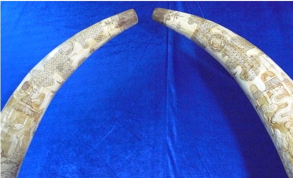 bone carving
