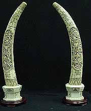 BONE PAIR OF BONE DRAGON TUSKS (F2245A1)
This is an Buffalo bone carving.<br>NOT IVORY!<br> All hand carved with lots of Fine Scrimshaw detail.<br> The Dragons Are Exquisite!<br>
 H: 40in, D: 8in, W: 14in.