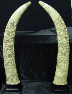 BONE IVORY LIKE WARRIOR TUSKS CARVING 7 FOOT TALL 
This is a real bone carving. All hand carved with lots of details.  
Size: H:80 in