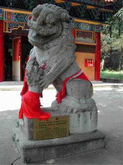 Foo Dogs at the Temple in Wuhan China